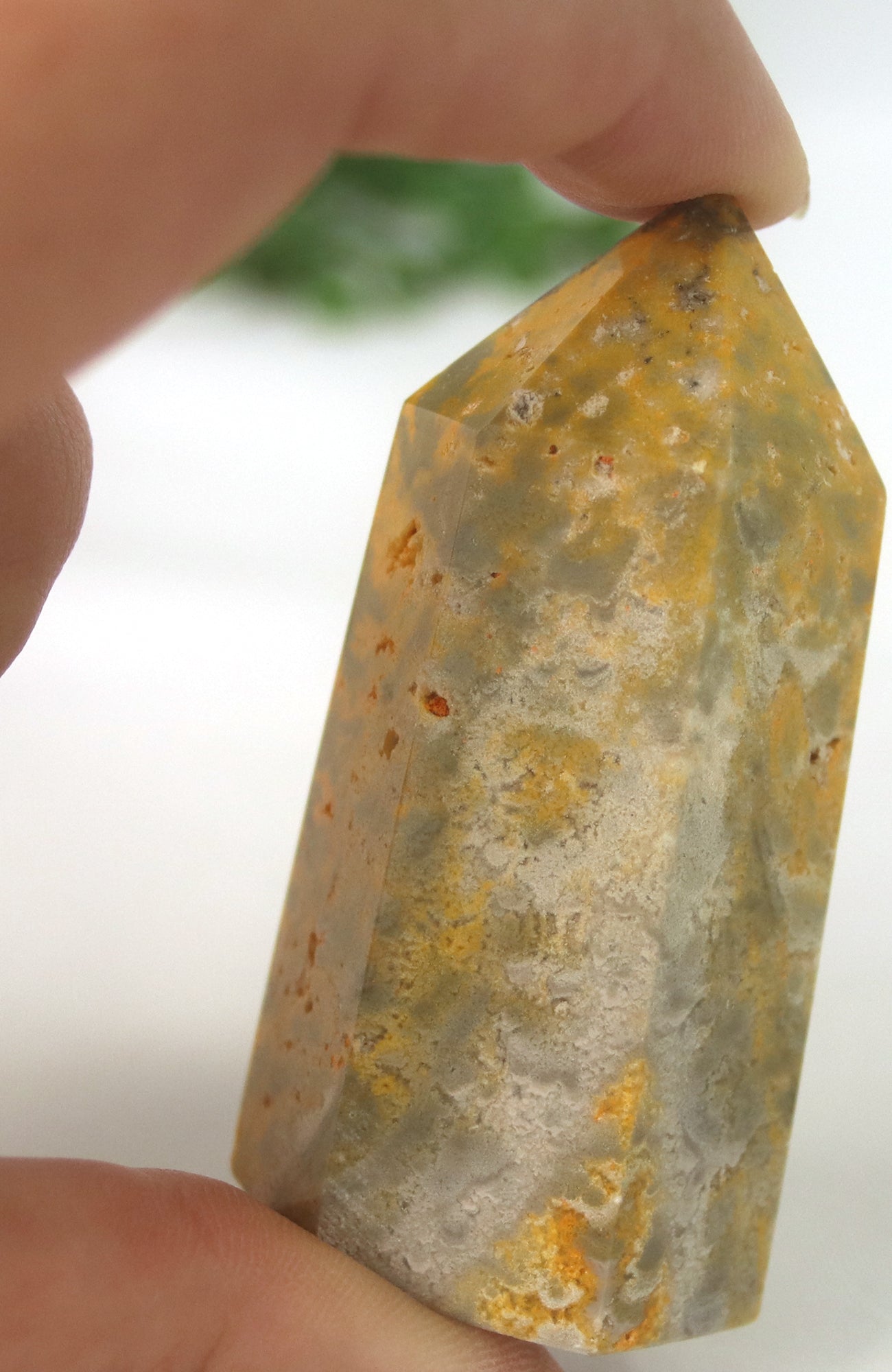 Bumble Bee Jasper Generator